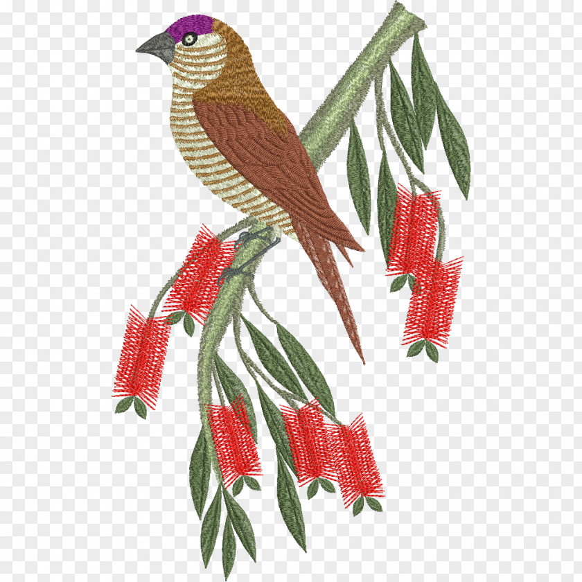 Painted Plum Blossom Bird Machine Embroidery Parrot PNG