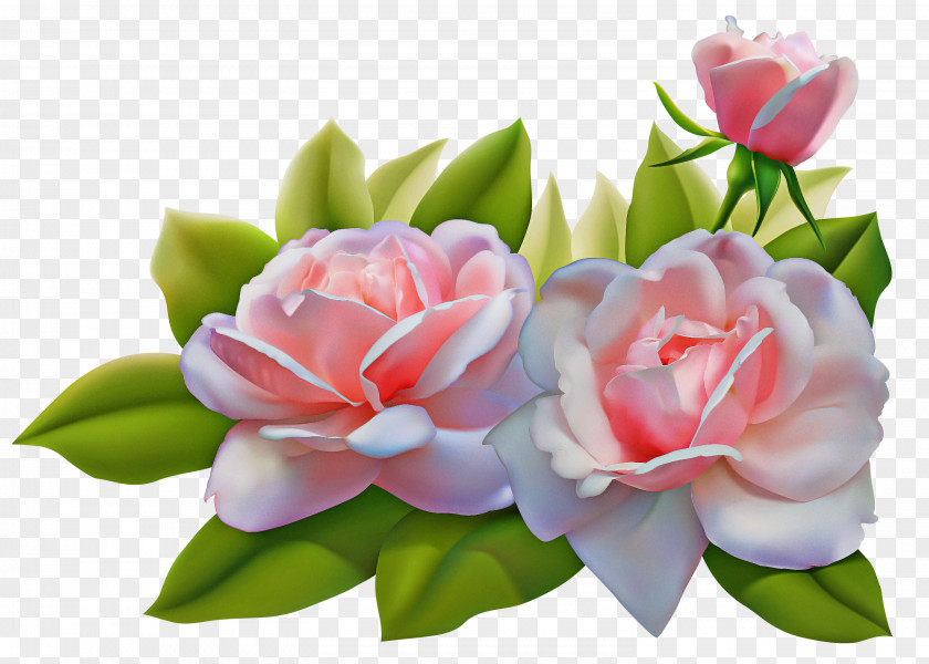 Artificial Flower PNG