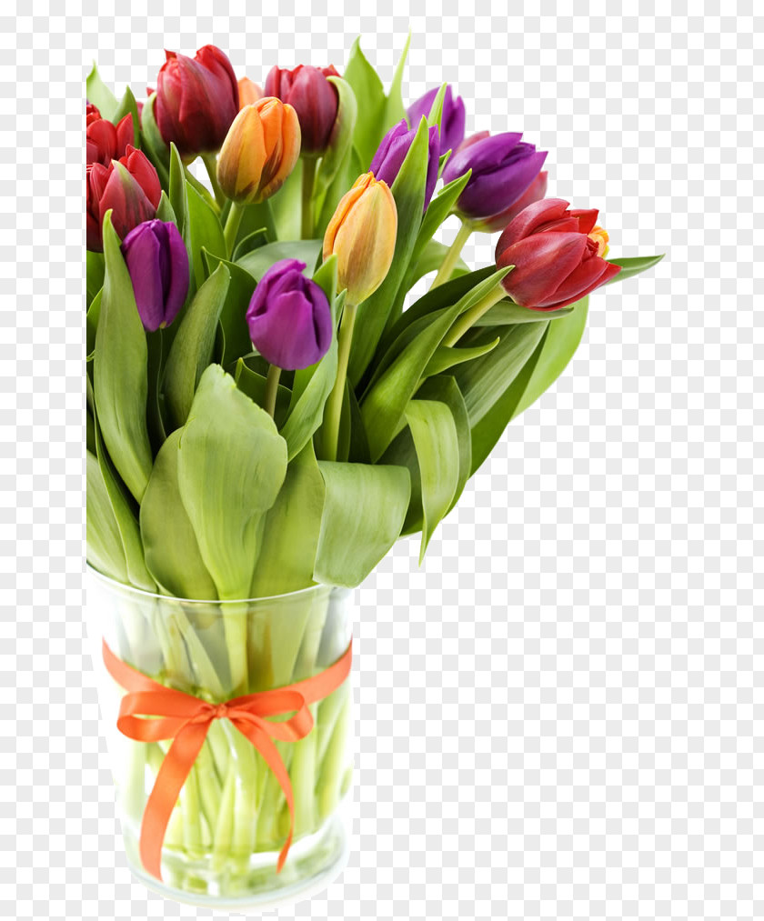 Beautiful Tulips Disk Image Tulip Flower Blume Stock Photography PNG