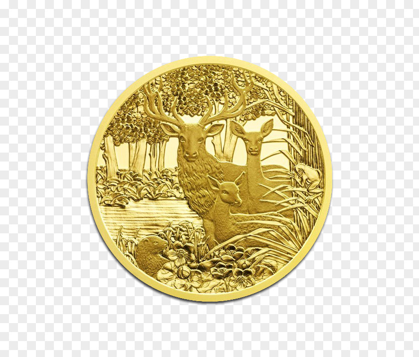 Coin Gold Silver Of The Year Award PNG