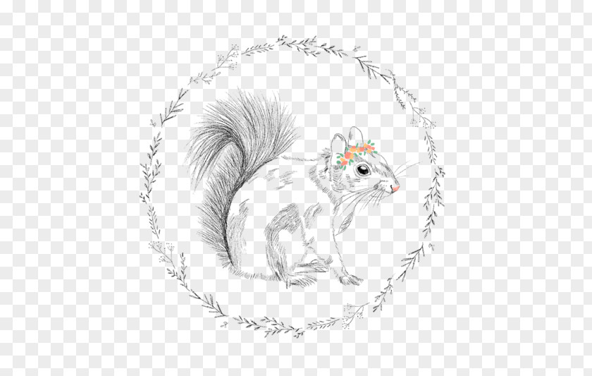 Hand-painted Squirrels Whiskers Tree Squirrel Rodent Wallpaper PNG