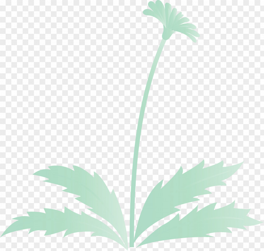 Leaf Flower Plant Stem Tree PNG