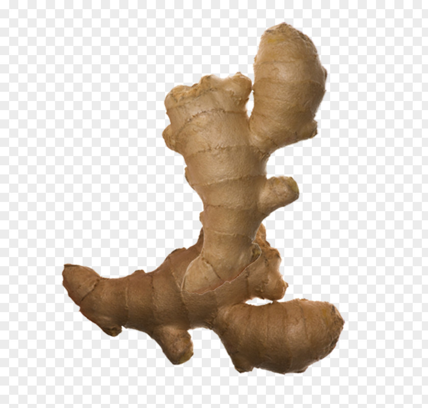 Looks Strange Ginger Root Vegetables Spice PNG
