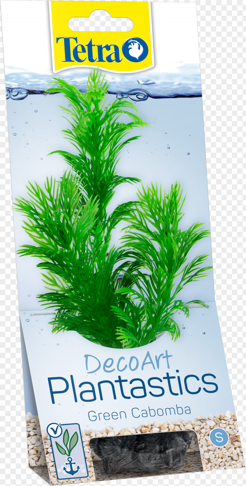 Plant Cabomba Caroliniana Aquarium Tetra Aquatic Plants PNG