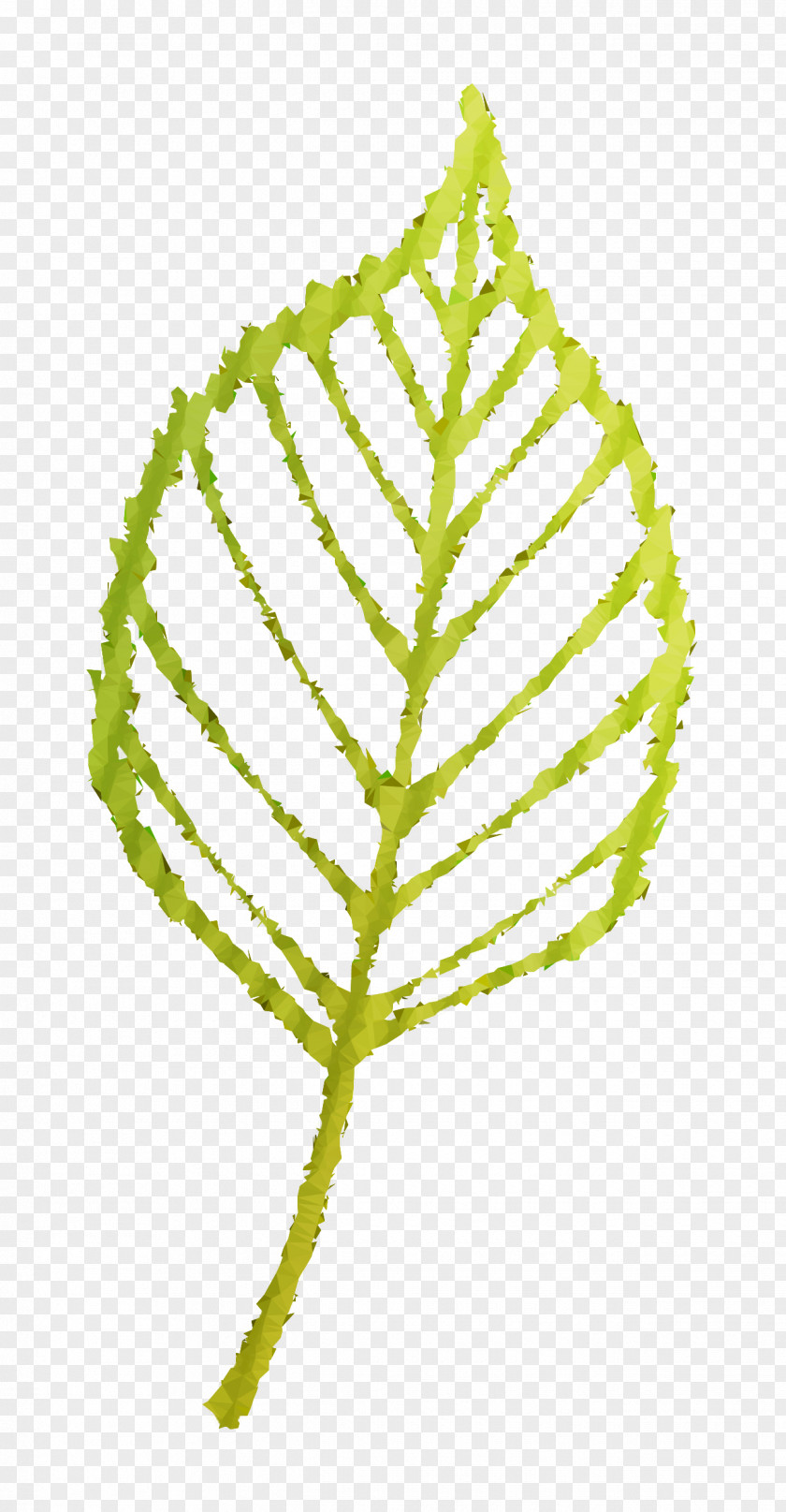 Twig Plant Stem Leaf Line Font PNG