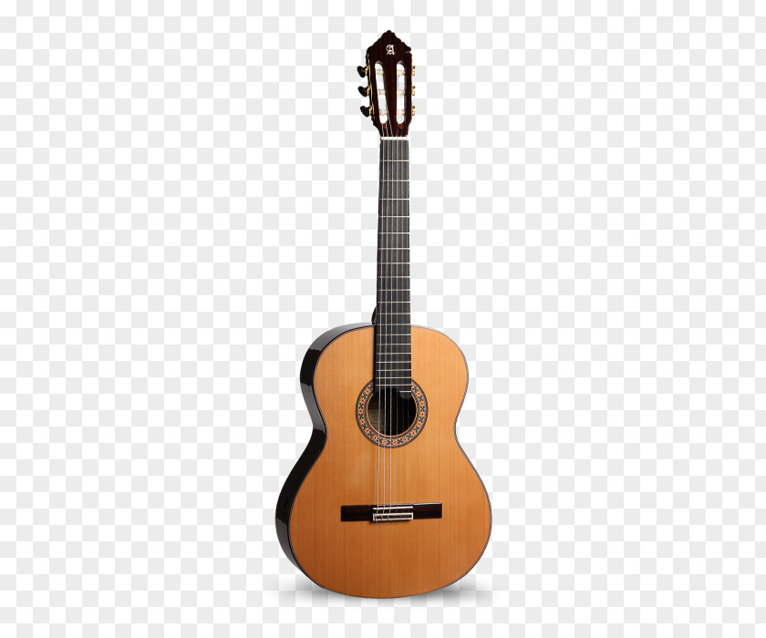 Acoustic Guitar Classical Cutaway Acoustic-electric PNG guitar guitar, Music Box classic clipart PNG