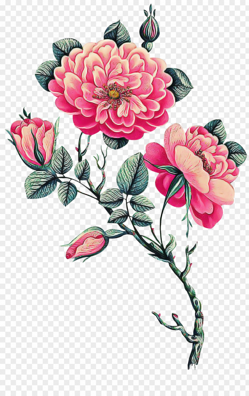 Floral Design PNG