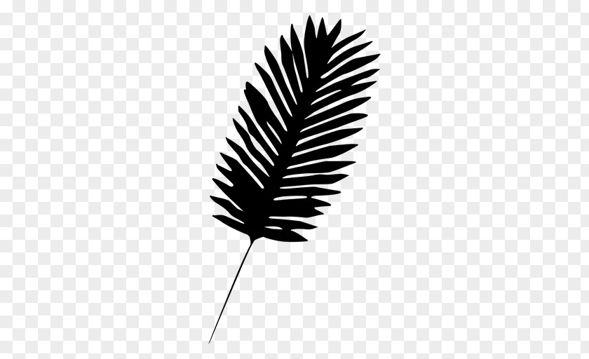 M Leaf Line Tree Quill Black & White PNG