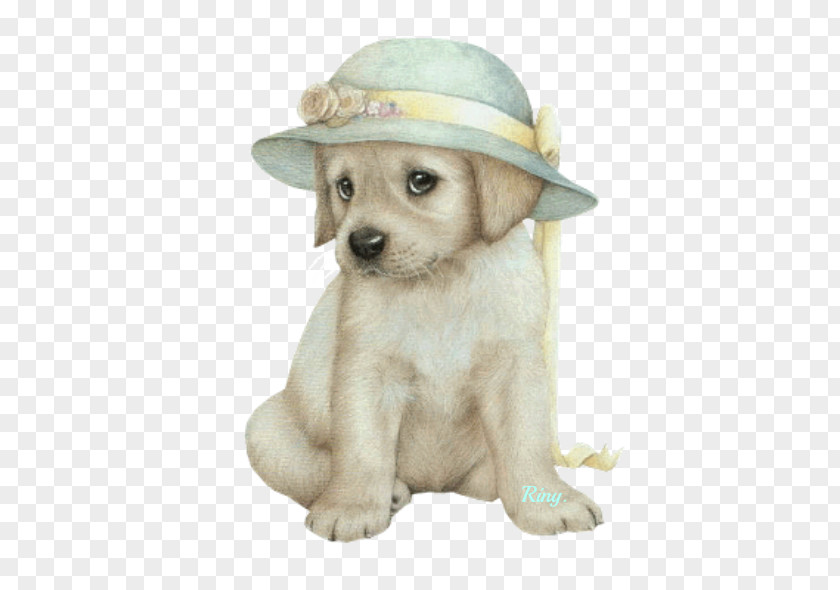Animation Dog Puppy PNG