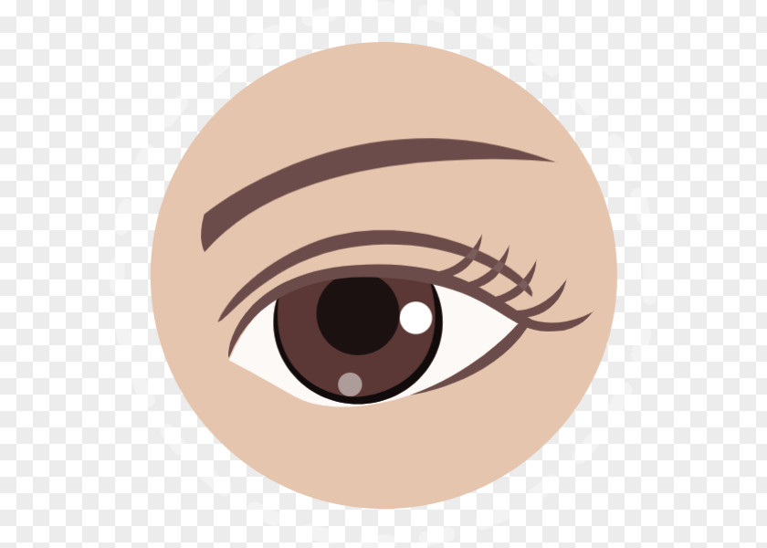 Eye Eyelash Clip Art Eyebrow Design PNG