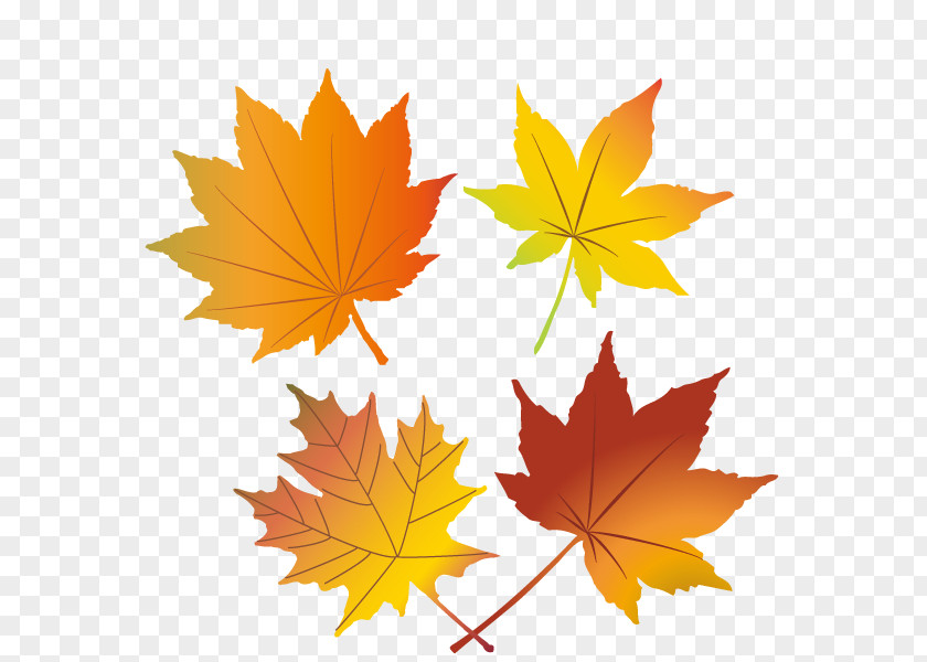 Red Leaf Illustration.Others Autumn Clipart PNG