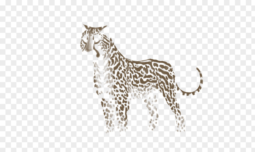 Cheetah Giraffe Leopard Felidae Lion PNG