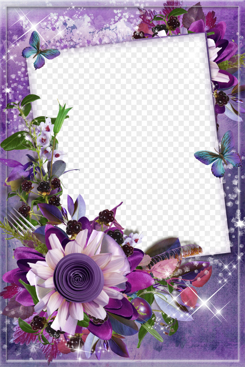 Mood Frame Pictures Picture Film Photography Flower PNG
