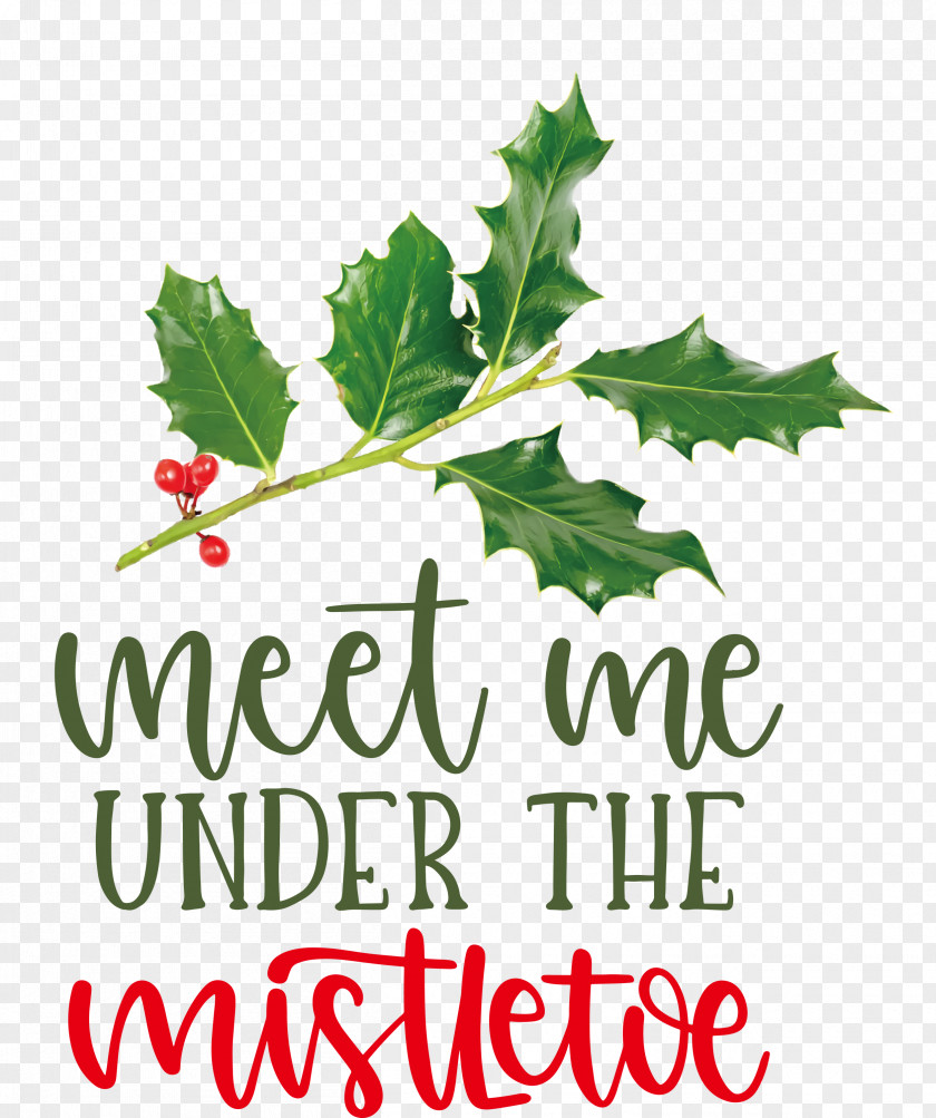 Meet Me Under The Mistletoe PNG