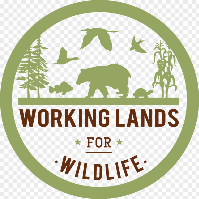 Nature Conservation Natural Resources Service Logo The Wildlife Society Hunting PNG