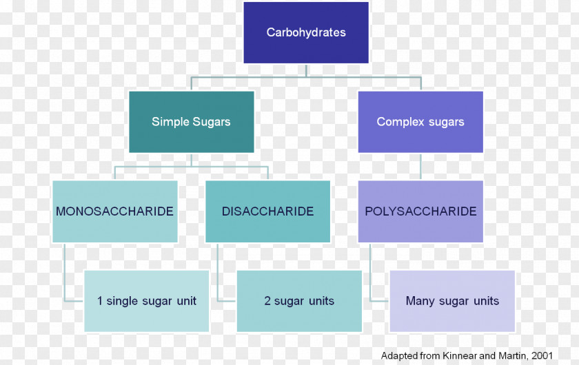 Sugar Carbohydrate Hexose Monosaccharide Pentose PNG