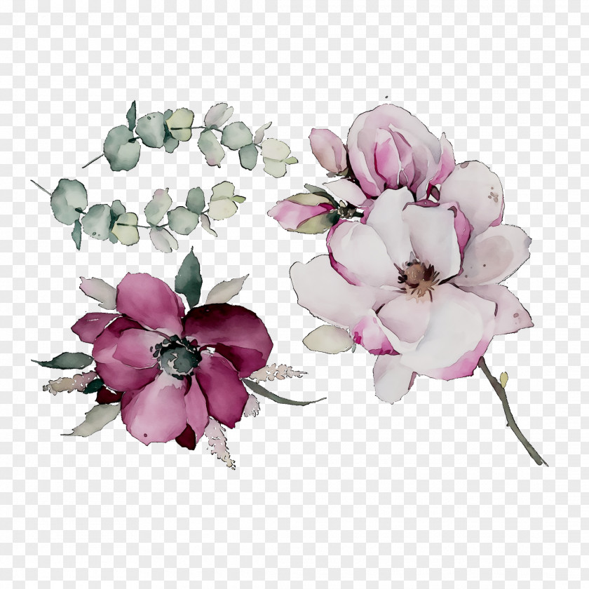 Cut Flowers Floral Design Rose Family PNG