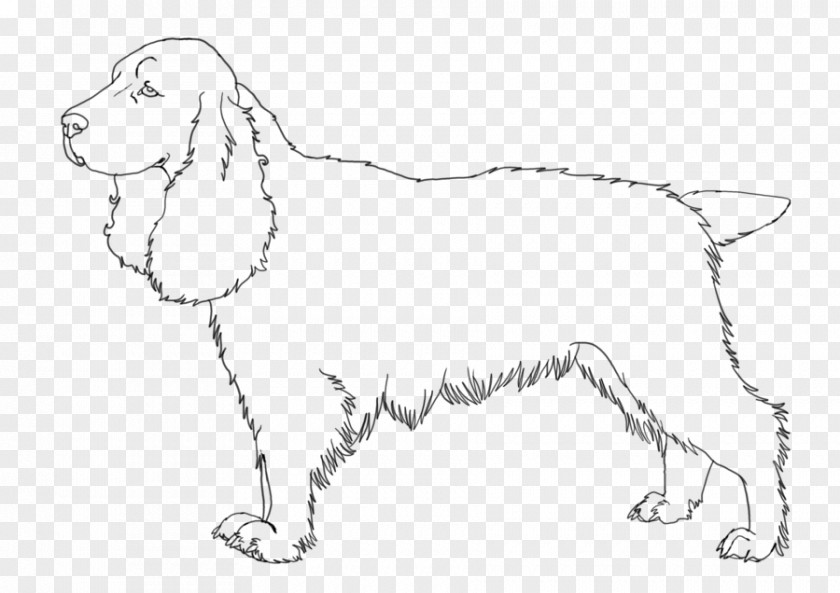 Puppy Dog Breed Field Spaniel English Springer Welsh PNG