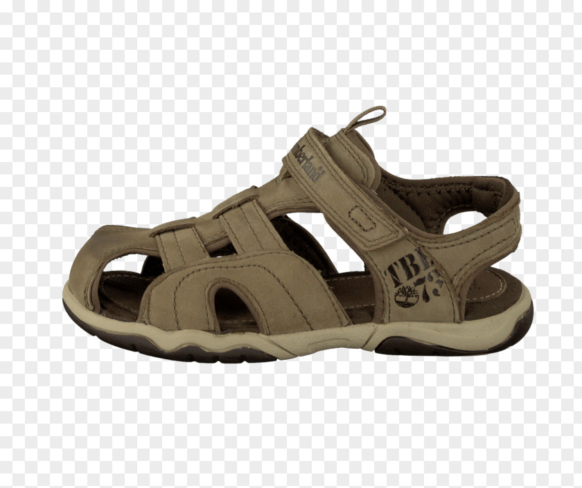 Sandal Slide Shoe Cross-training PNG
