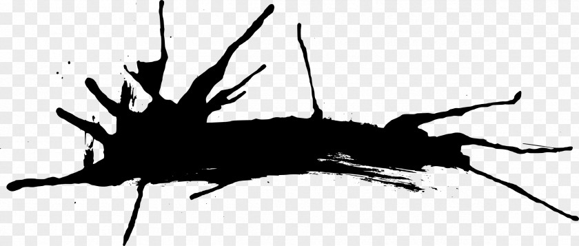 Splatter Insect Black And White PNG