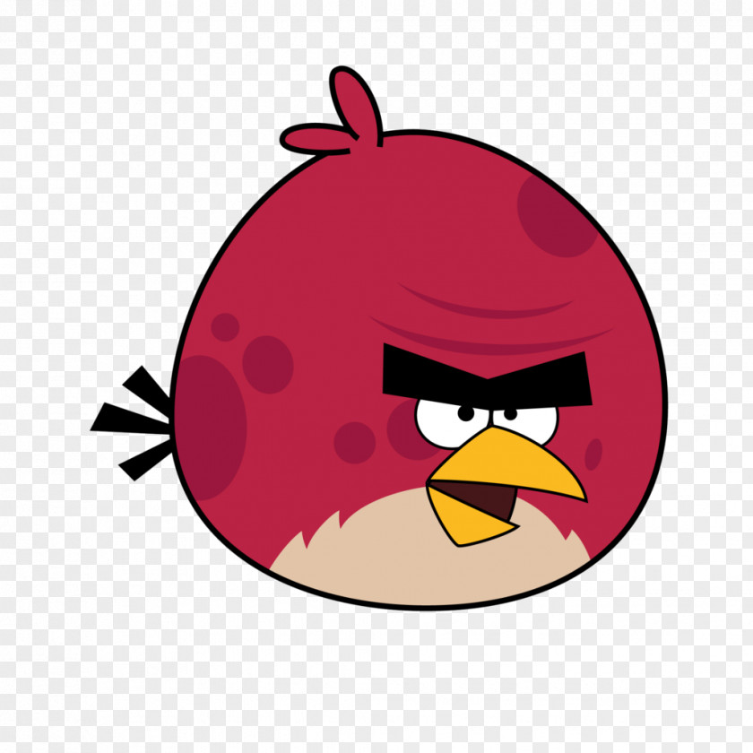 Bird Angry Birds Space Seasons Rio PNG