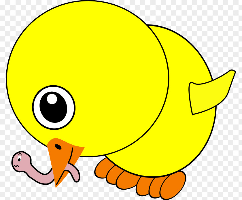 Chick Draw Birds Worm Eating Clip Art PNG