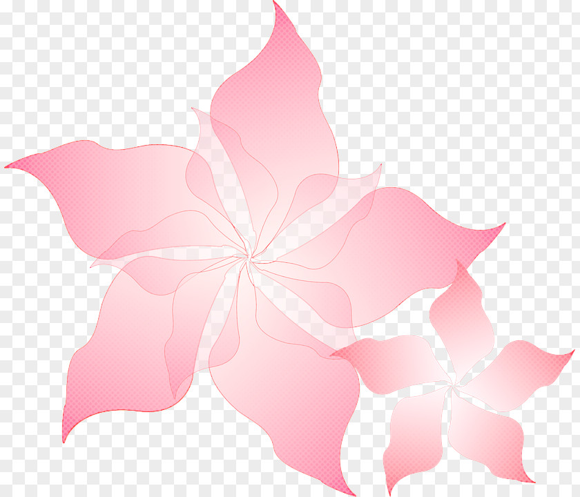 Herbaceous Plant Mallow Family Pink Flowers Background PNG