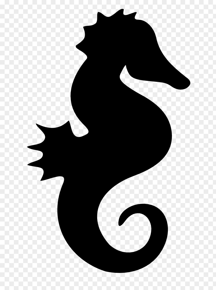 Seashells Seahorse Silhouette Drawing Clip Art PNG