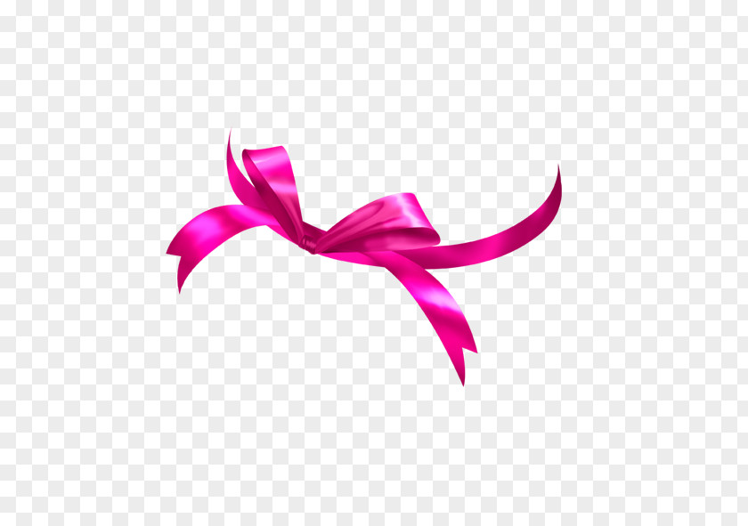 Bow Flower Clip Art PNG