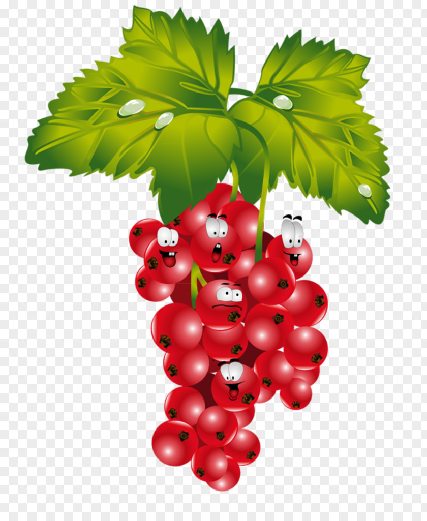 Fruits And Vegetables Redcurrant Strawberry Fruit Verse PNG