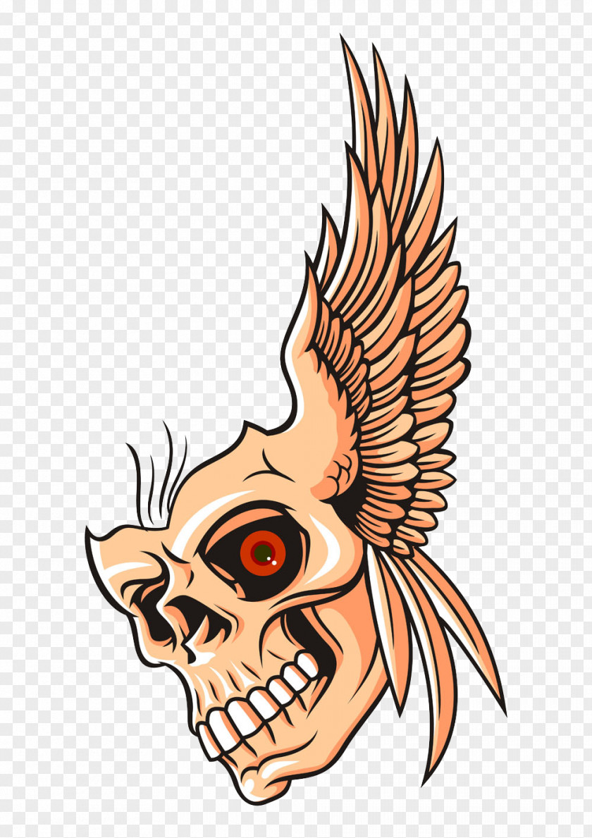 Funny Skull Vector Royalty-free Photography Illustration PNG
