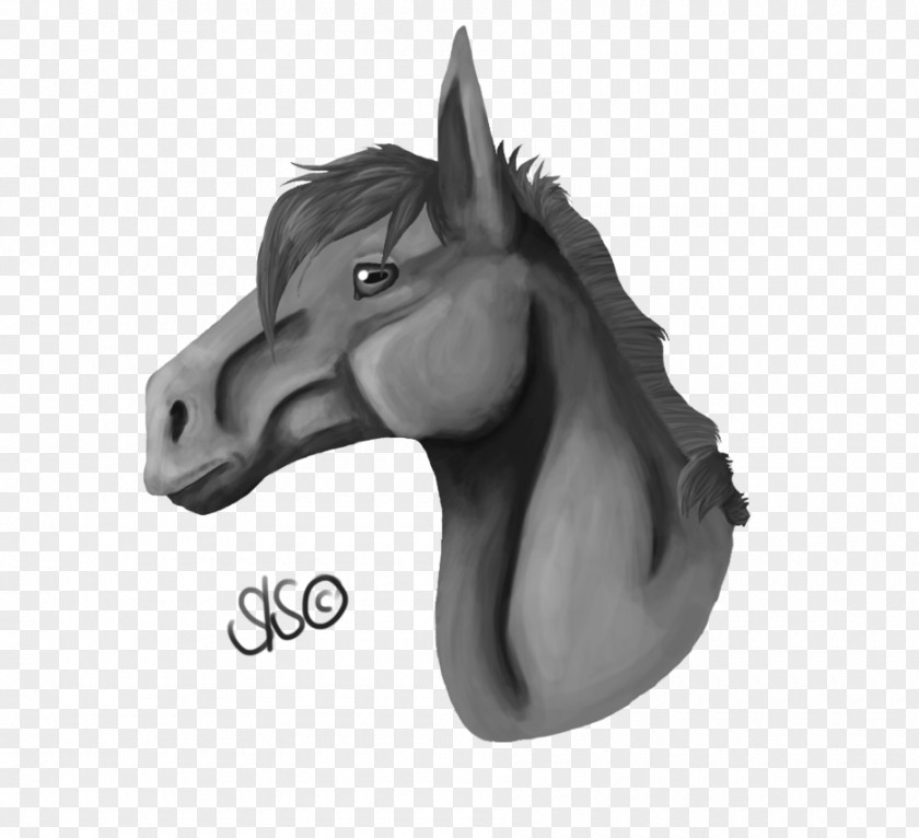 Mustang Mane Pony Stallion Drawing PNG