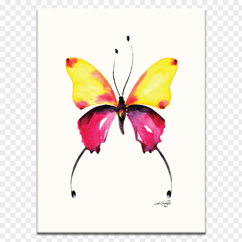 Painting Monarch Butterfly Watercolor Abstract Art PNG