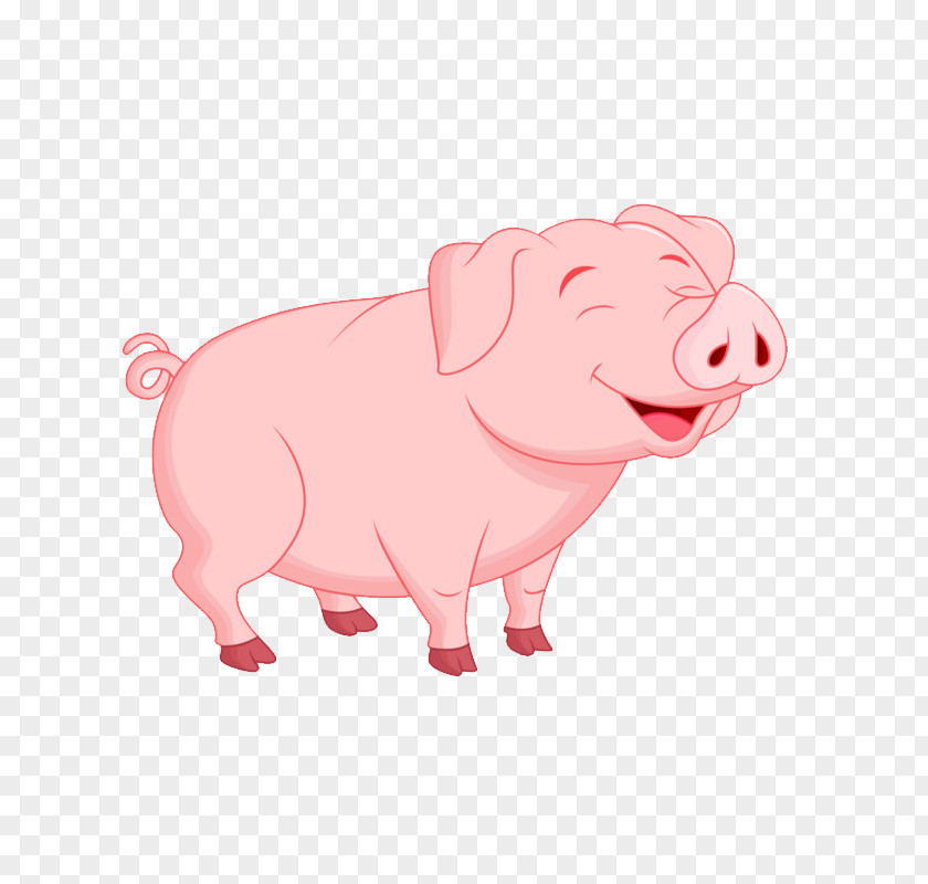 Pig Vector Graphics Image Cartoon PNG
