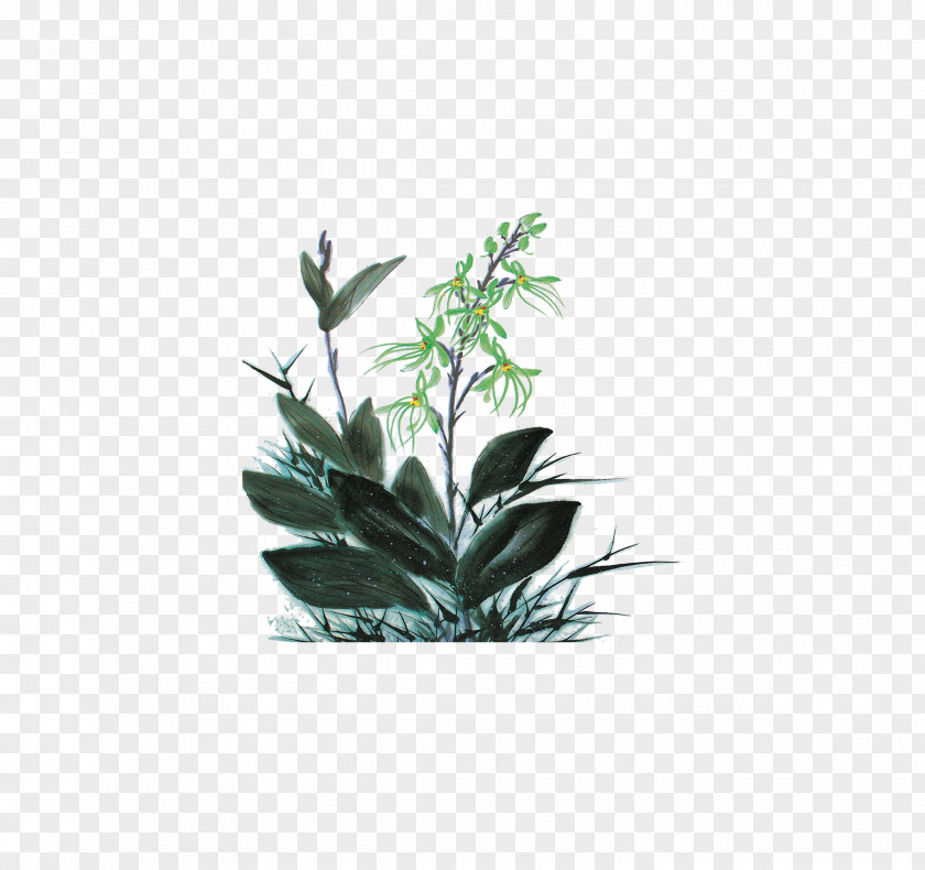 Plants Watercolor Painting Download Icon PNG