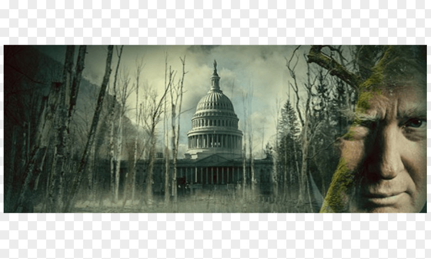 Politics Washington, D.C. Drain The Swamp Washington Post PNG
