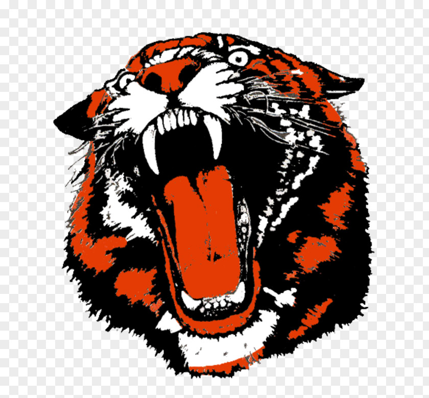 Tiger Versailles High School West Liberty-Salem Celina Marshfield PNG