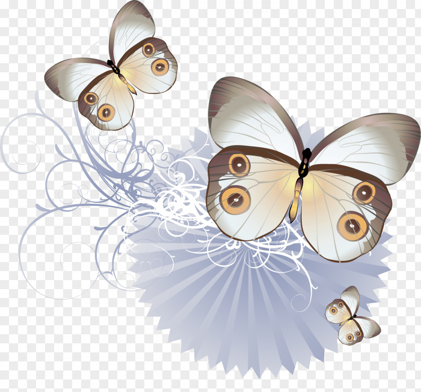 Abstract Butterfly Iron-on Clip Art PNG