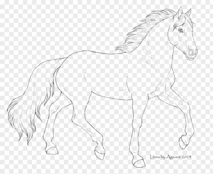Arabian Pattern Horse Foal Pony Mane Stallion PNG