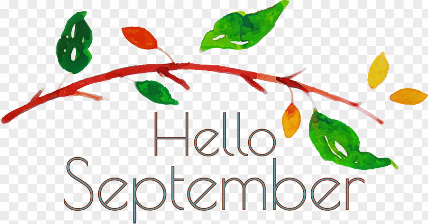 Hello September September PNG