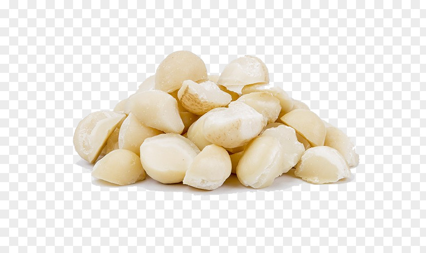 Macadamia Nut Commodity PNG