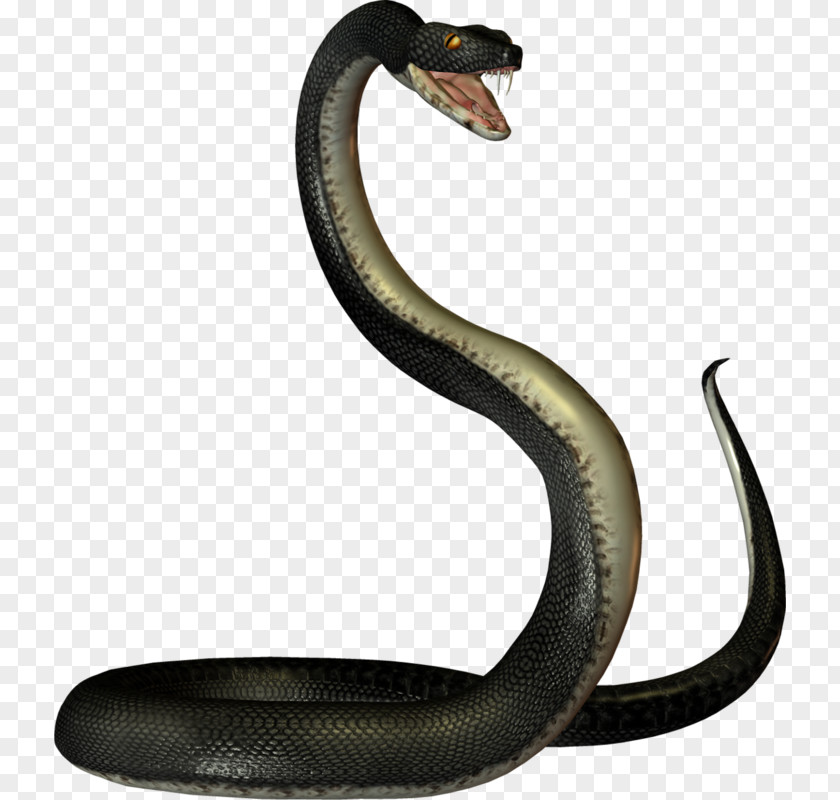 Snake Mambas PNG