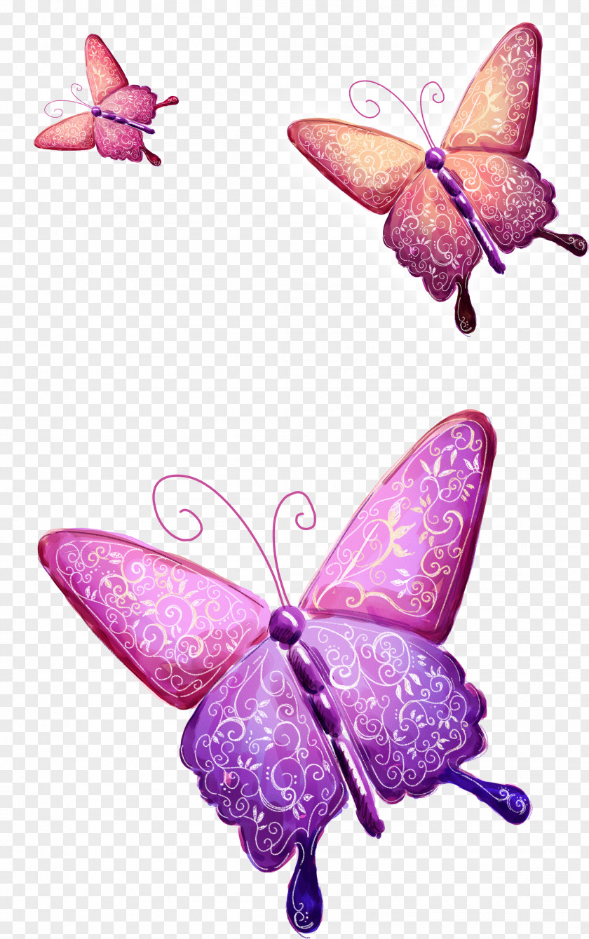Butterfly Flower Floral Design Painting Illustration PNG