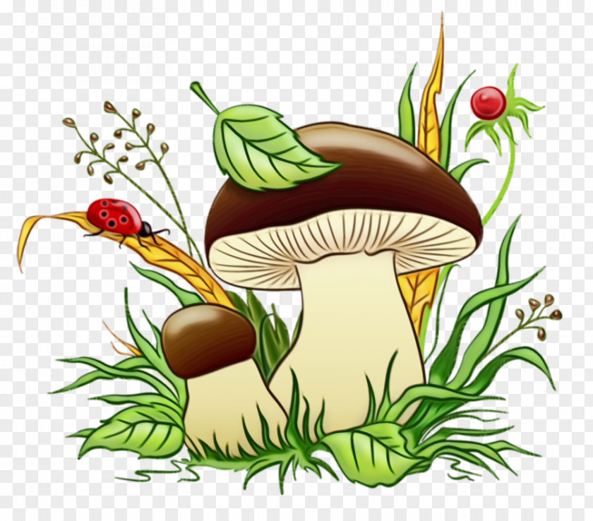 Flower Vegetable Flowerpot Mushroom PNG
