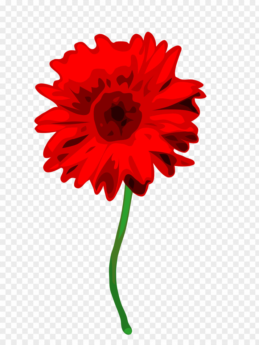 Gerbera Transparent Jamesonii Display Resolution PNG