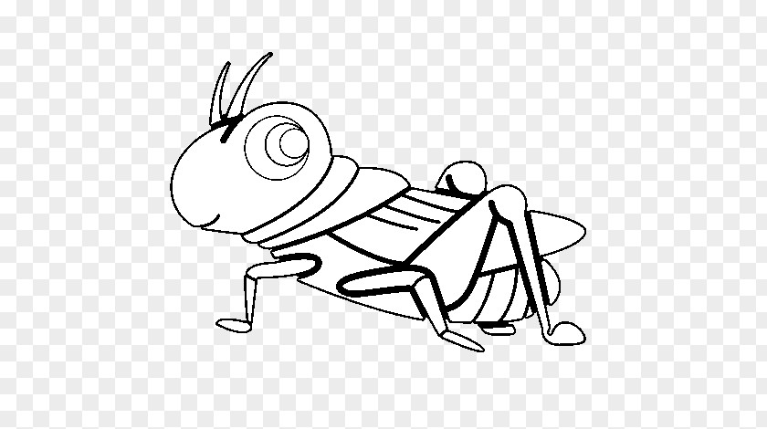 Grasshopper Drawing The Ant And Insect Coloring Book PNG