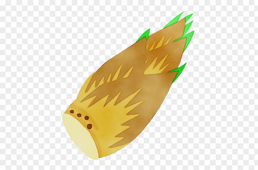 Leaf Feather PNG