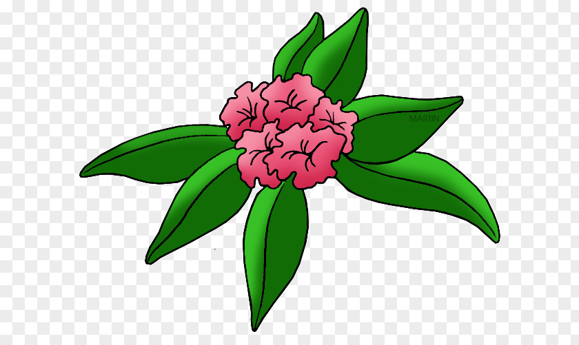 Flower Washington West Virginia Rhododendron Clip Art PNG