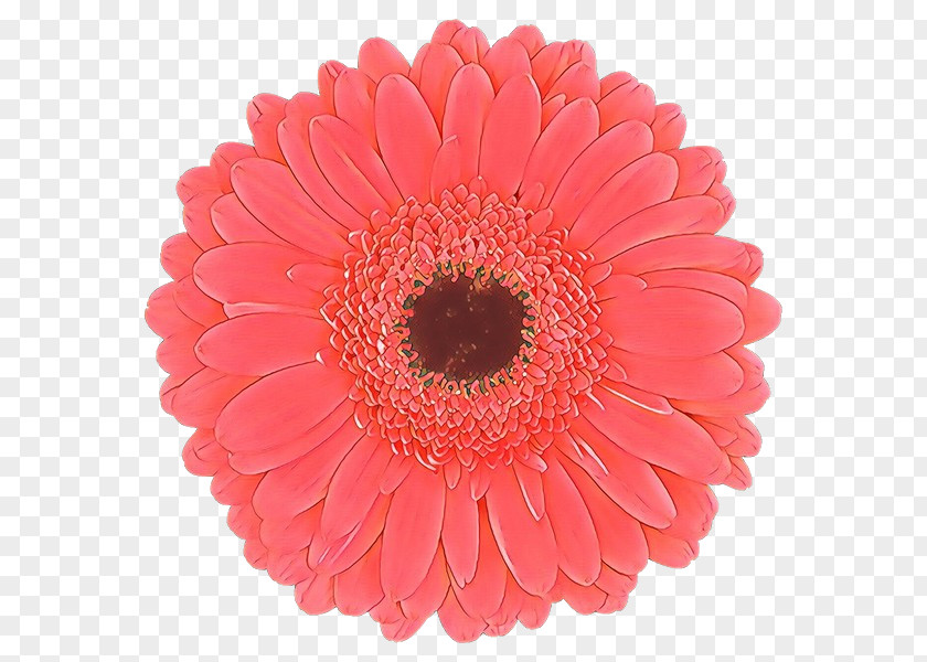 Artificial Flower Daisy Family PNG