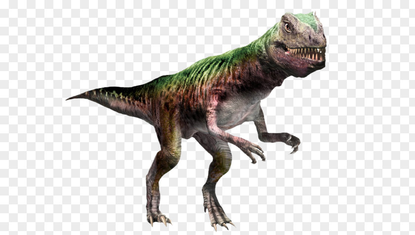 Dinosaur Gasosaurus Coelophysis Carcharodontosaurus Theropods PNG